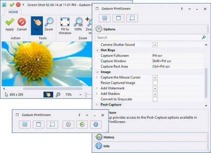 Gadwin PrintScreen captura de tela 1
