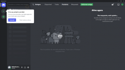 Captura de tela do Discord para Windows que mostra uma mensagem seu assistente inicial de uso.