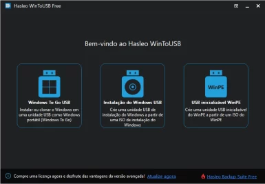 Captura de tela que mostra a tela inicial de opções do WinToUSB.