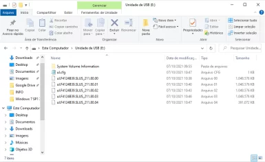 Captura de tela que mostra um exemplo de pasta no Windows com os arquivos de um jogo processado com o USBUtil.