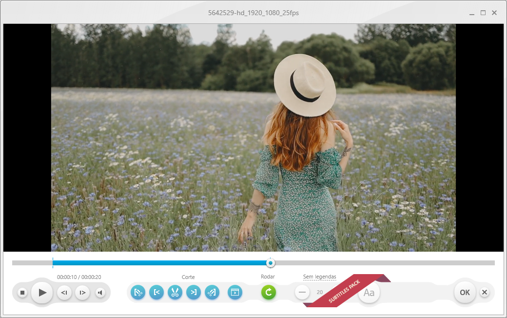 Freemake Video Converter tela de edicao