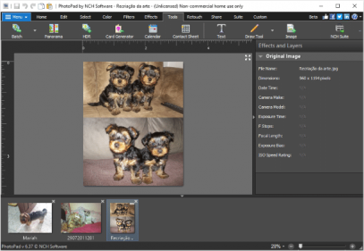 captura de tela do PhotoPad Photo Editing Software