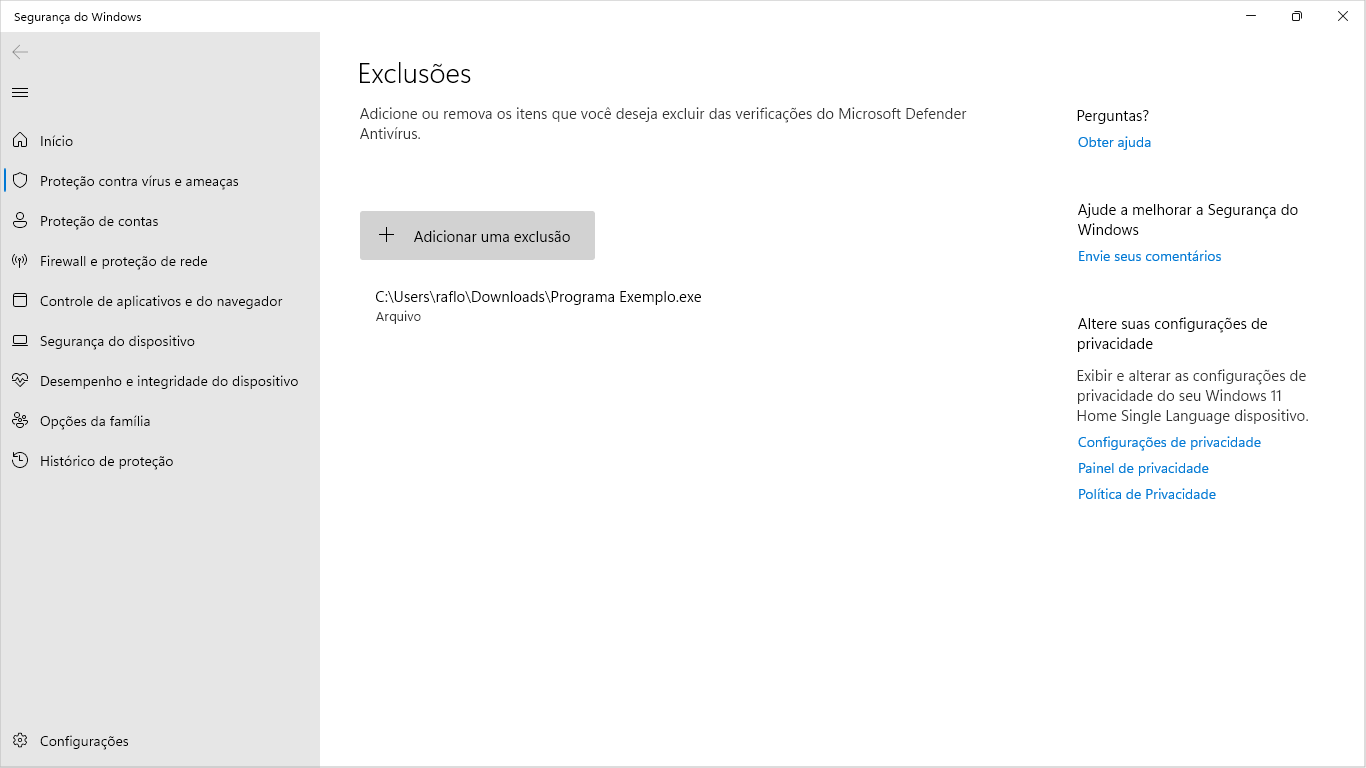 Exclusoes seguranca do Windows